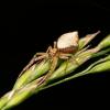 345737 – Photo : Damien GRILLIERE – France (15)